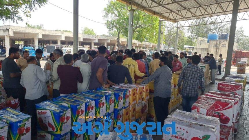 રાજકોટ-ગોંડલ માર્કેટ યાર્ડમાં કાશ્મીરી સફરજનની વિપુલ આવક