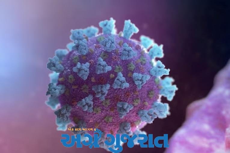 કોરોના કેસના સમાચારથી ગભરાશો નહીં