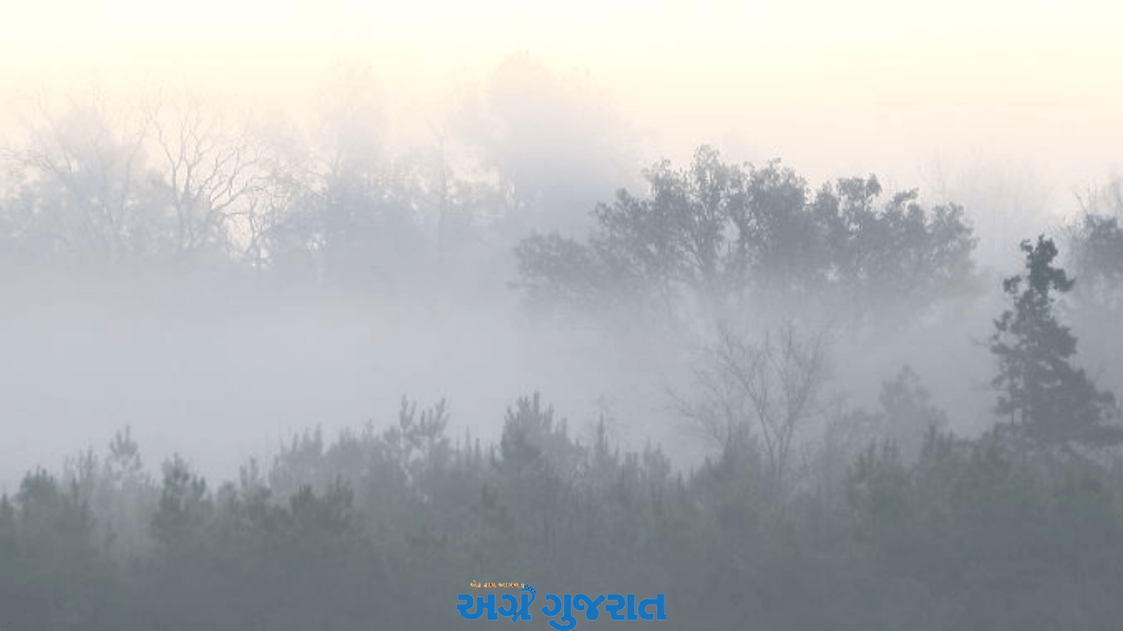 ચાણસ્મા પંથકમાં વહેલી સવારે ગાઢ ધુમ્મસ થી ધરતીપુત્રો ચિંતિત.