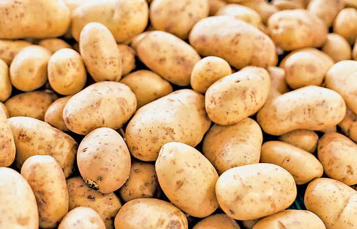 પતરીના બટેટાનુ ઉત્પાદન ઓછું થતાં ભાવ વધારો