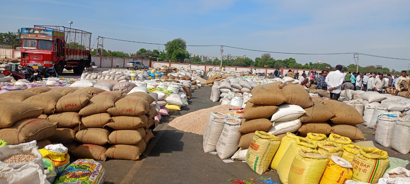 માર્કેટ યાર્ડમાં ૧.૭૦ લાખ મણ ઘંઉની બમ્પર આવક