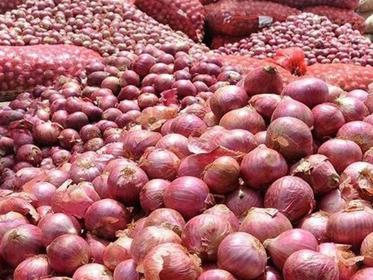 અમરેલી જિલ્લામાં ડુંગળીનું ૩૭૧૨ હેકટરમાં વાવેતર કરવામાં આવ્યુ