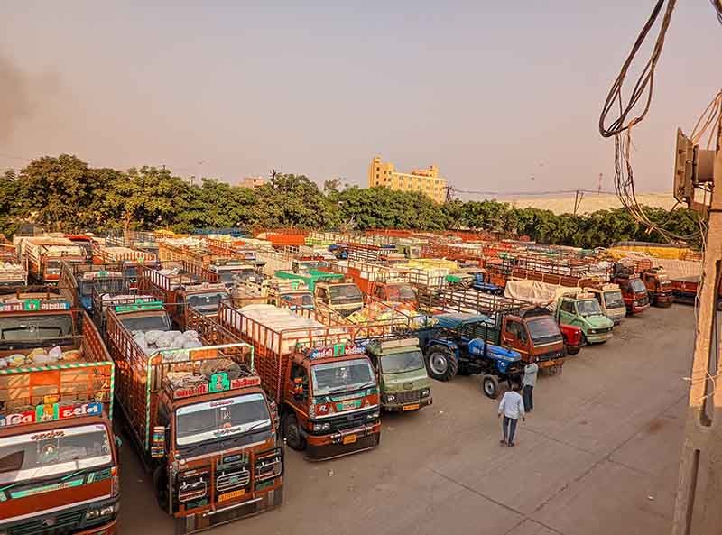 માર્કેટ યાર્ડમાં ૧ લાખ મણ ધઉની આવક