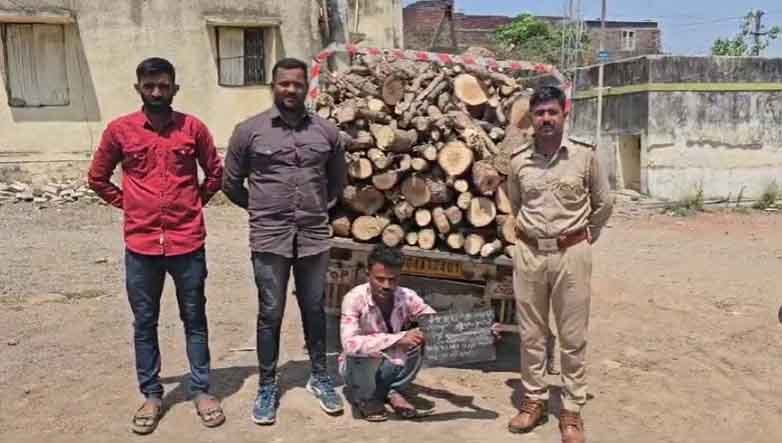 રાજુલા વનીકરણ રેન્જનો સપાટો