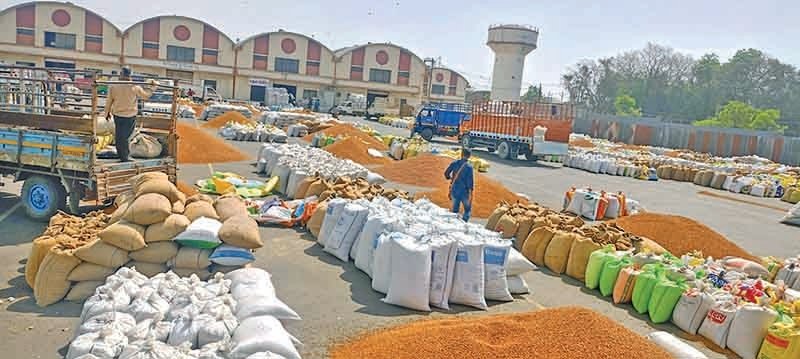 માર્કેટ યાર્ડમાં આજે ઘઉ, ચણા, ધાણાની જોરદાર આવક