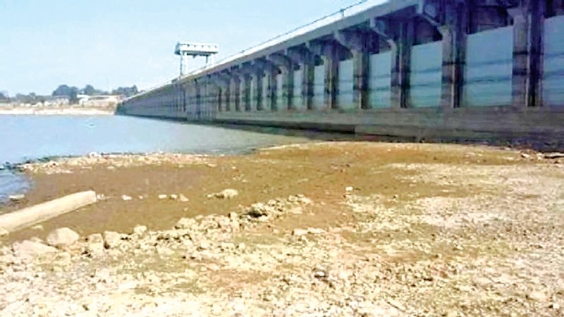 રાજકોટના જળાશયો પાણીદાર : સૌરાષ્ટ્રના ૧૪૧ ડેમના તળીયા દેખાયા