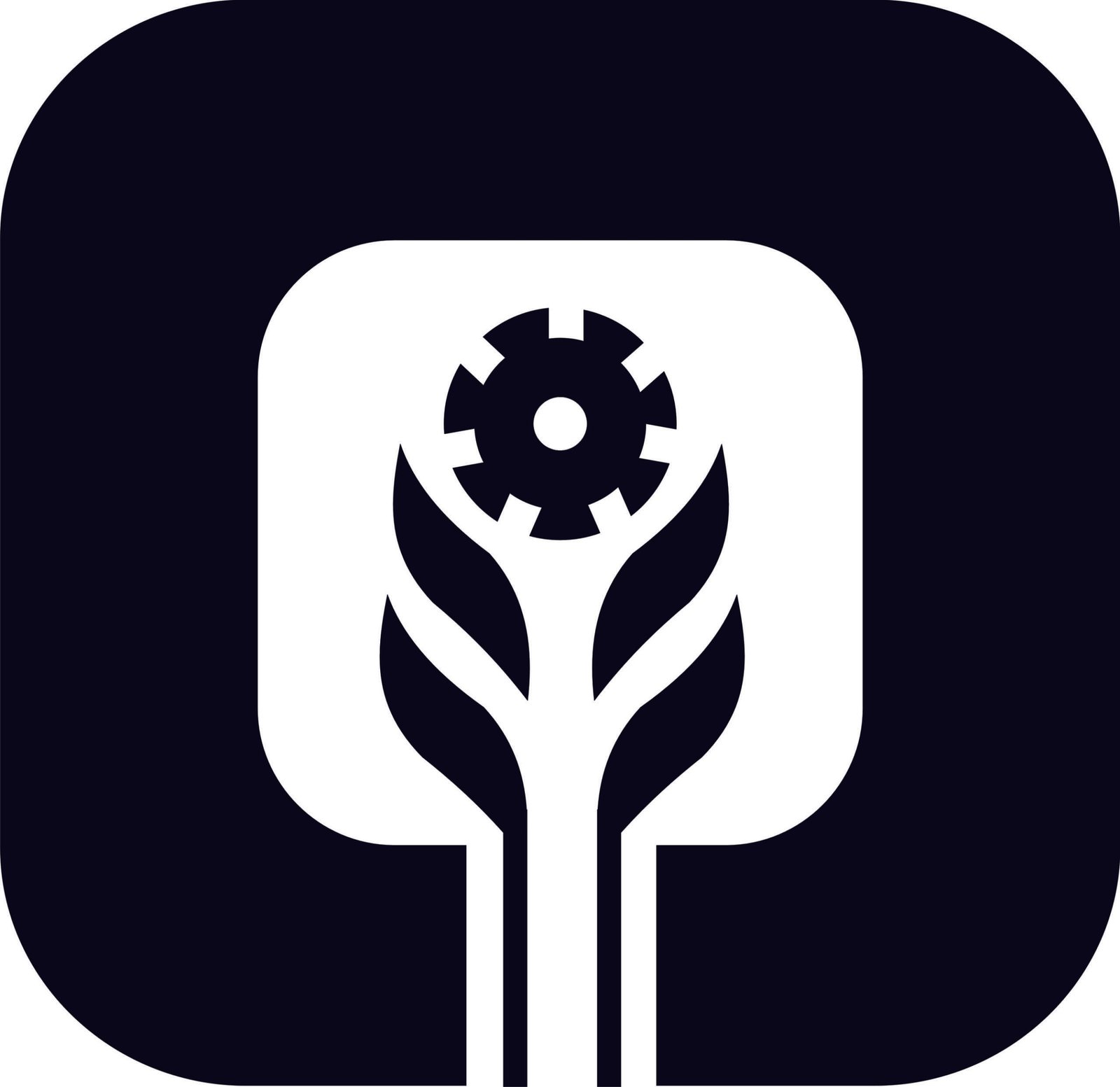 RNSB દ્વારા સભાસદોના સંતાનોને શૈક્ષણિક પુરસ્કાર અને સ્કોલરશીપ અપાશે