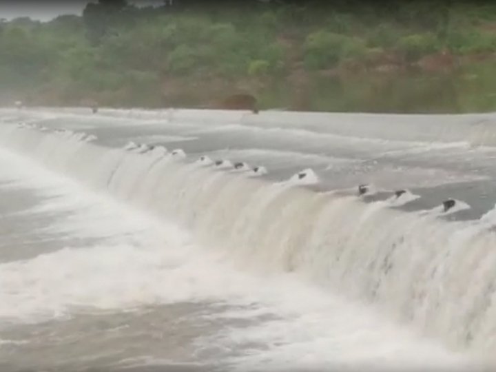 રાજકોટ, જામનગર, સુરેન્દ્રનગર, મોરબી અને દ્વારકાના 40 થી વધુ ડેમોમા ધીંગી જળરાશી