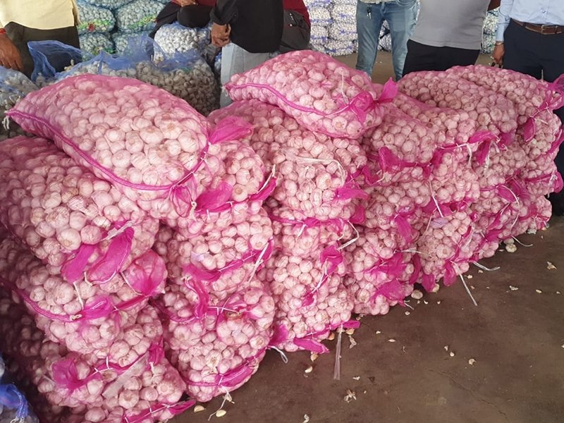 ચાઇનીઝ લસણના વિરોધમાં સૌરાષ્ટ્રના તમામ યાર્ડમાં કાલે હડતાલ