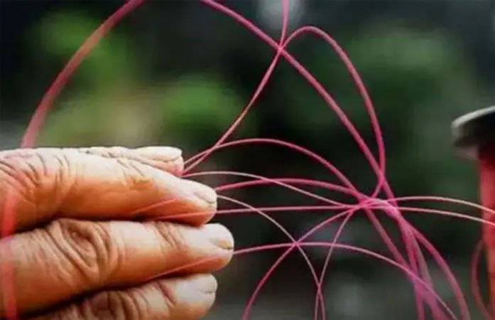 ચાઇનીઝ દોરી-તુક્કલ અંગે કરેલી કામગીરીનો દૈનિક રિપોર્ટ આપવા ગુજરાત હાઇકોર્ટનો આદેશ