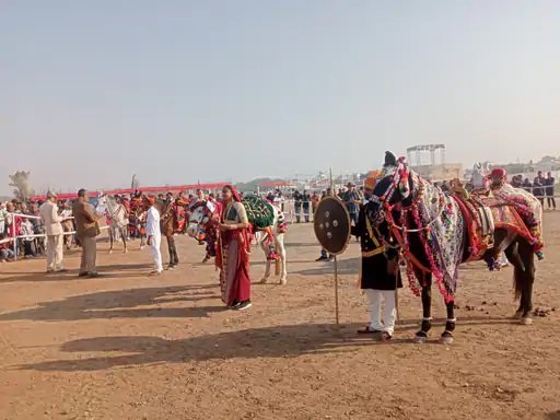 અશ્વ કામા રમતોત્સવમાં ગુજરાત અને રાજસ્થાનના ૨૫૦ અશ્વોની હણહણાટી