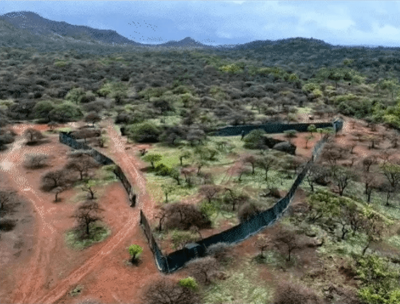  બરડાનો ડુંગર ખૂંદશે ગીરના ડાલામથ્થા ઐતિહાસિક ટ્રાન્સલોકેશન પ્રોજેકટનો પ્રારંભ