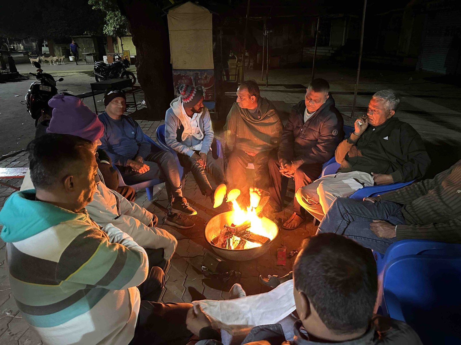 ઉત્તર-પૂર્વ દિશામાંથી ફૂંકાતા પવનના લીધે ૧૨મી સુધી રાજયમાં કાતિલ ઠંડીનો અનુભવ થશે