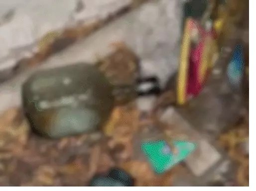 ગુજરાત યુનિવર્સિટીમાં ગાંજાના છોડ બાદ વિદેશી દારૂની પ્રિમીયમ બ્રાન્ડની બોટલો મળી