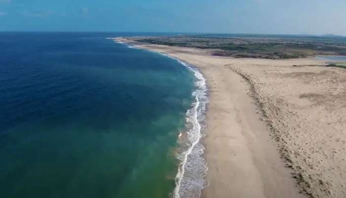 ગુજરાતનો દરિયાકાંઠો બનશે બ્લૂ ઇકોનોમીનું સુપર પાવર હાઉસ