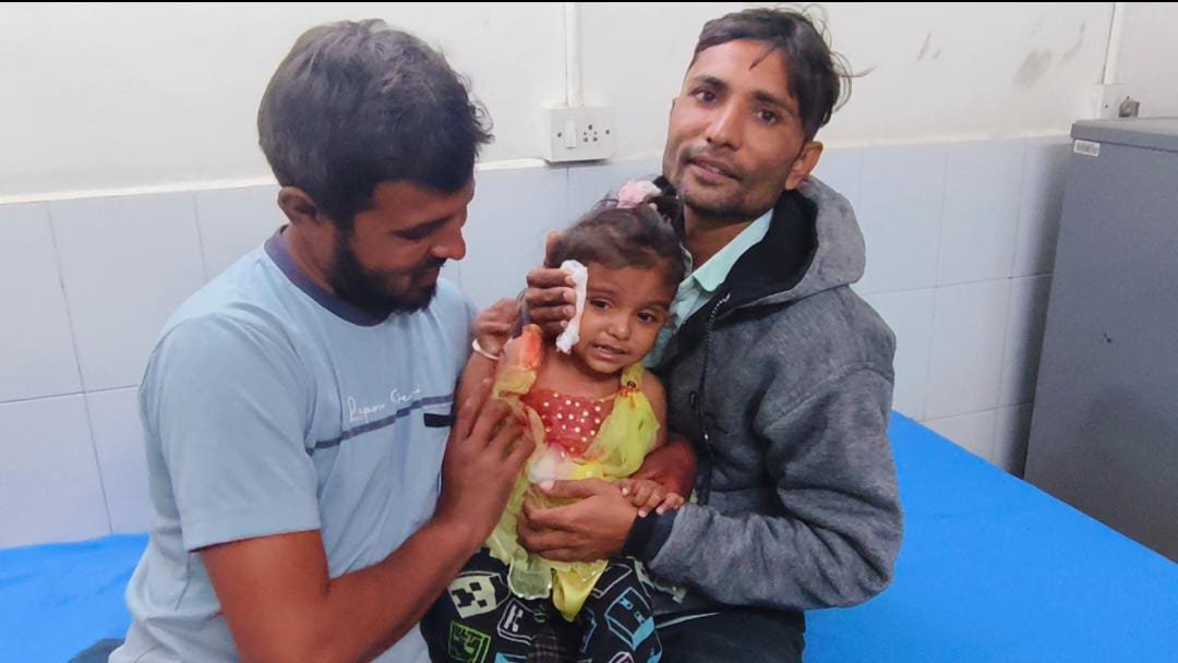  જેતપુરમાં રખડતા શ્વાનનો આતંક, બે દિવસમાં ત્રણ માસૂમ બાળકો પર હુમલો