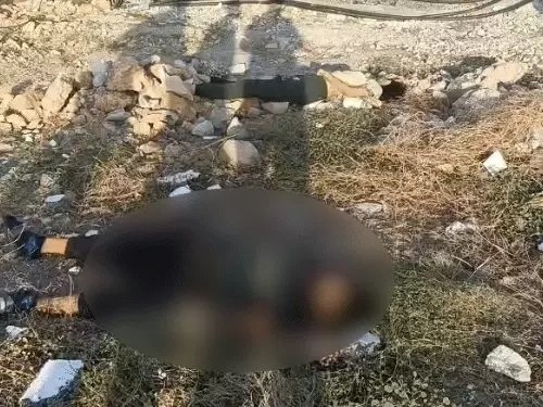  દ્વારકાની દીવાદાંડીના ત્રીજા માળેથી પડતુ મૂકી માતાનો પુત્ર સાથે આપઘાત