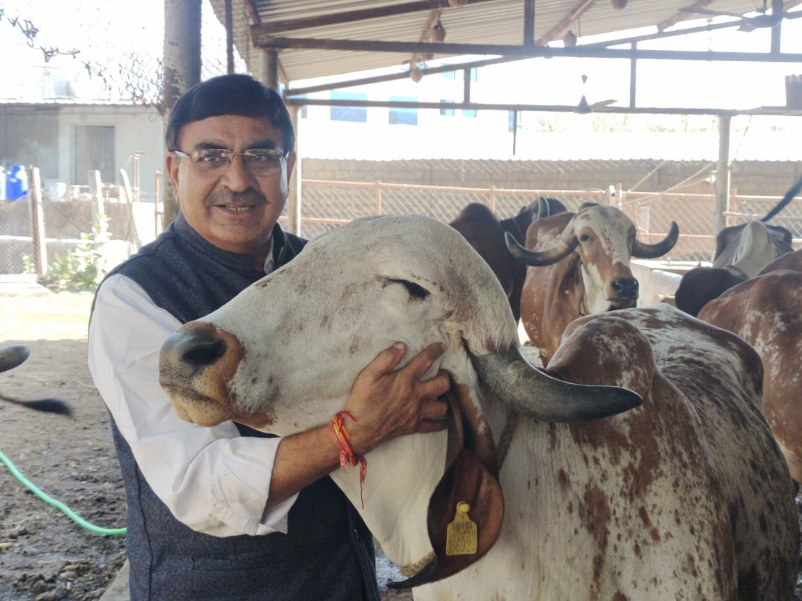 ઉતરાયણ નિમિતે ગૌદાન કરી ગૌમાતાના આશીર્વાદ પ્રાપ્ત કરીએ, ડો.કથીરીયા