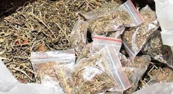  જામનગરનો યુવાન મુંબઇ એરપોર્ટ પરથી છ કરોડના ગાંજાના જથ્થા સાથે પકડાયો