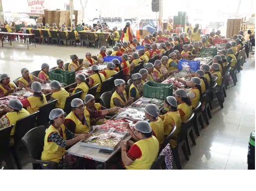 BAPSના વડા મહંત સ્વામીનો ૯૨મો જન્મજયંતિ મહોત્સવ ભવ્યતાથી ઉજવાશે