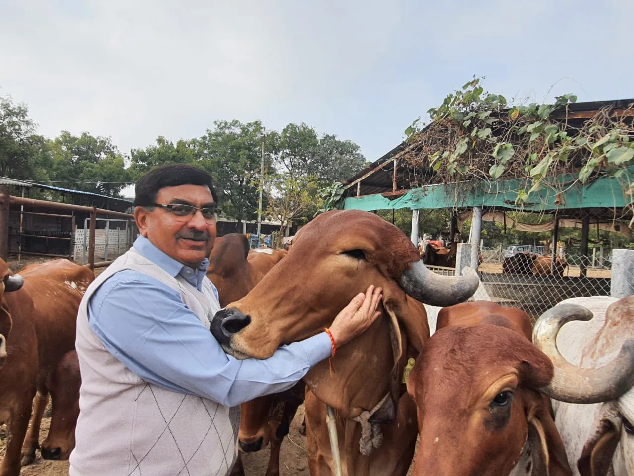 ગૌ આધારિત અર્થ વ્યવસ્થાના રાષ્ટ્રીય ઉત્થાન માટે ૨૦૨૬માં દેશવ્યાપી સંકલ્પ લેવા આહવાન