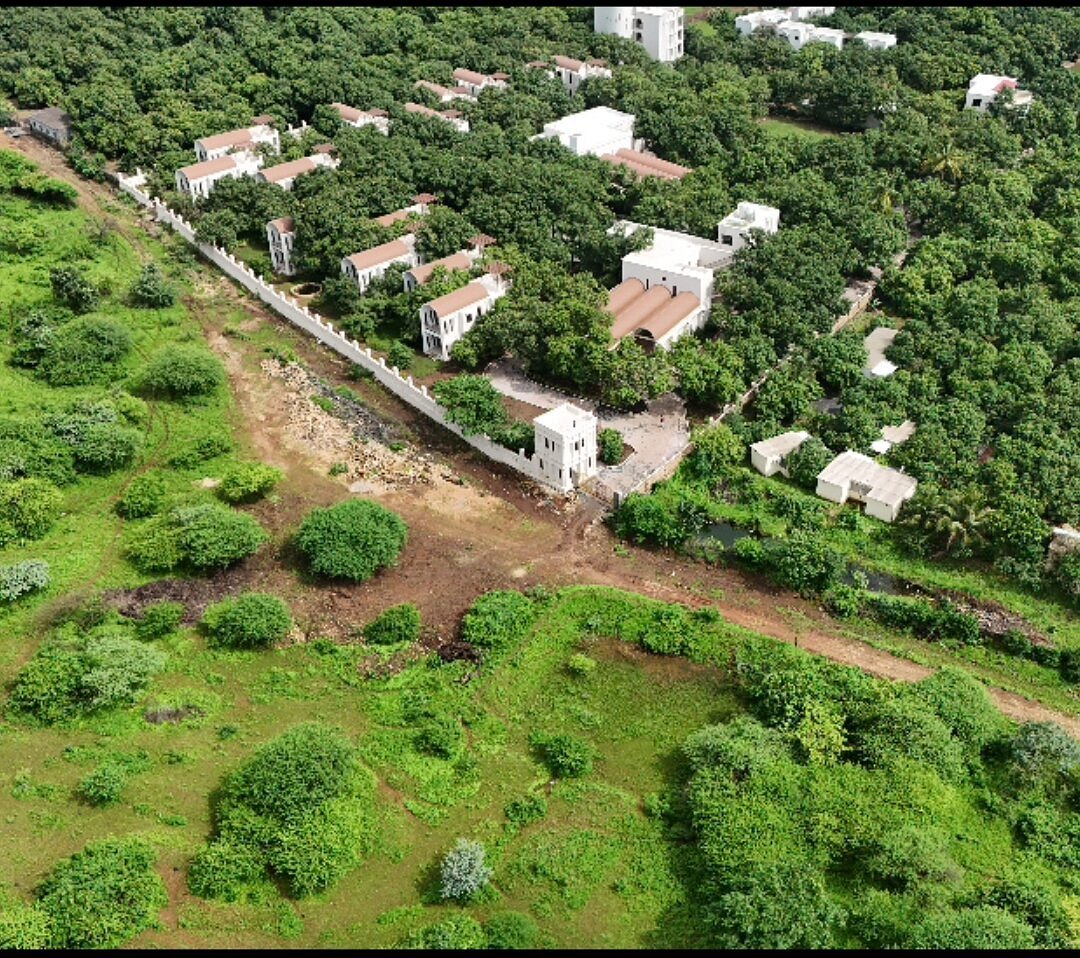  રીંગણા લઉ બે ચાર : બિન વન્ય હેતુ માટે વન વિભાગની જમીનની પુષ્કળ લ્હાણી