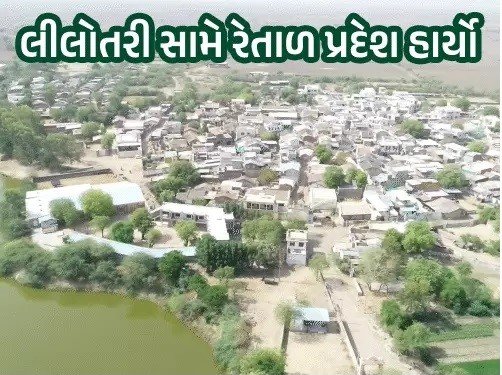 પાટડીના માલણપુરમાં વ્યકિત દીઠ અંદાશે સાત વૃક્ષો, ૯૫૦૦થી વધુ વૃક્ષોની લીલોતરી