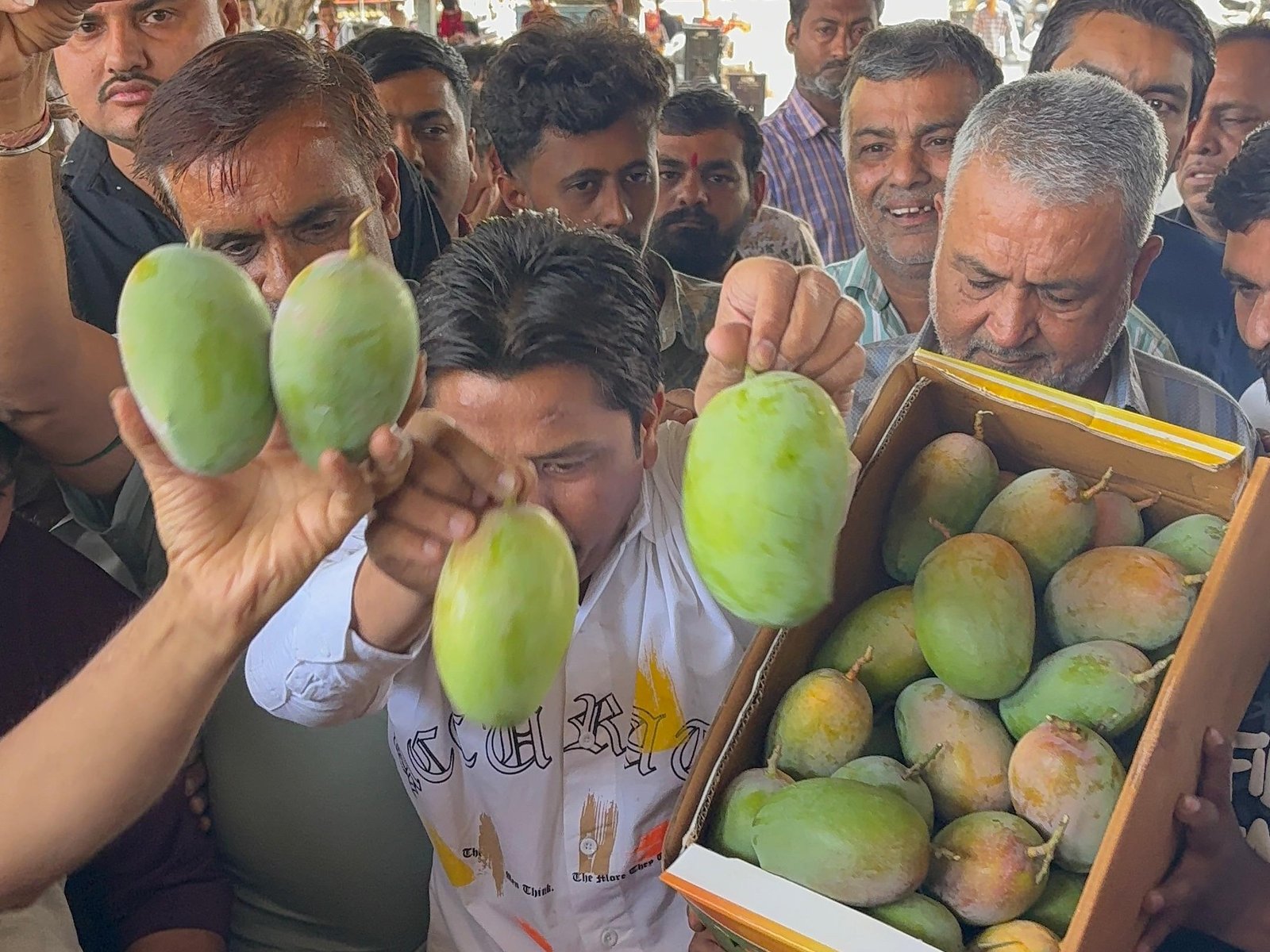 ગોંડલ ફ્રુટ માર્કેટિંગ યાર્ડમાં ફળોની રાણી કેસર કેરીનું આગમન