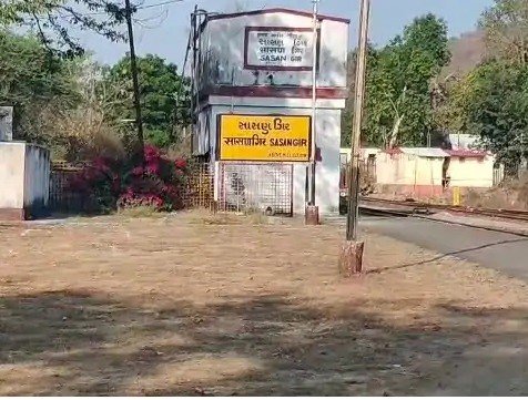 3૬૦ ડિગ્રી ખૂરશી સાથેની સાસણગીરમાં દોડાવાશે સ્પેશ્યલ જંગલ સફારી ટ્રેન