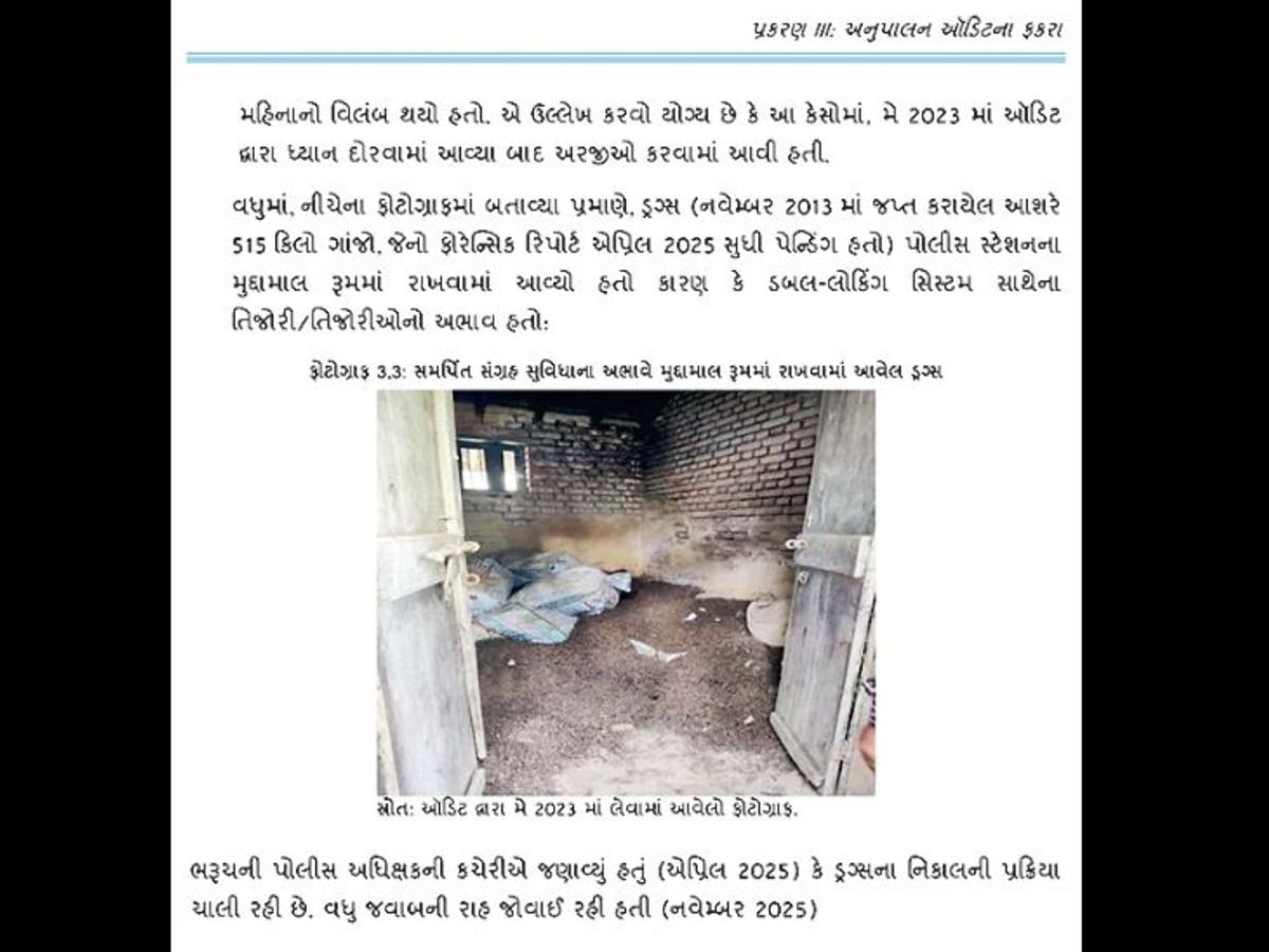 ગુજરાતમાં ઉંદરો ડ્રગ્સના બંધાણી થયા, ૨૦૦૦થી વધુ કિલો મુસકોના પેટમાં ગયું