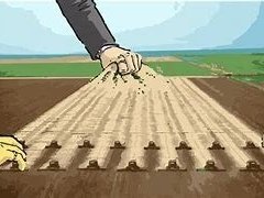 વિરનગરમાં સરકારી જમીન પર કબ્જો કરી ઓઇલ મિલ શરૂ કરનાર સામે લેન્ડગ્રેબિંગ