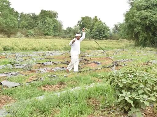 વિવાદ વગરની જમીન-મકાનની પાકી એન્ટ્રી વેંચાણના દિવસે જ થશે