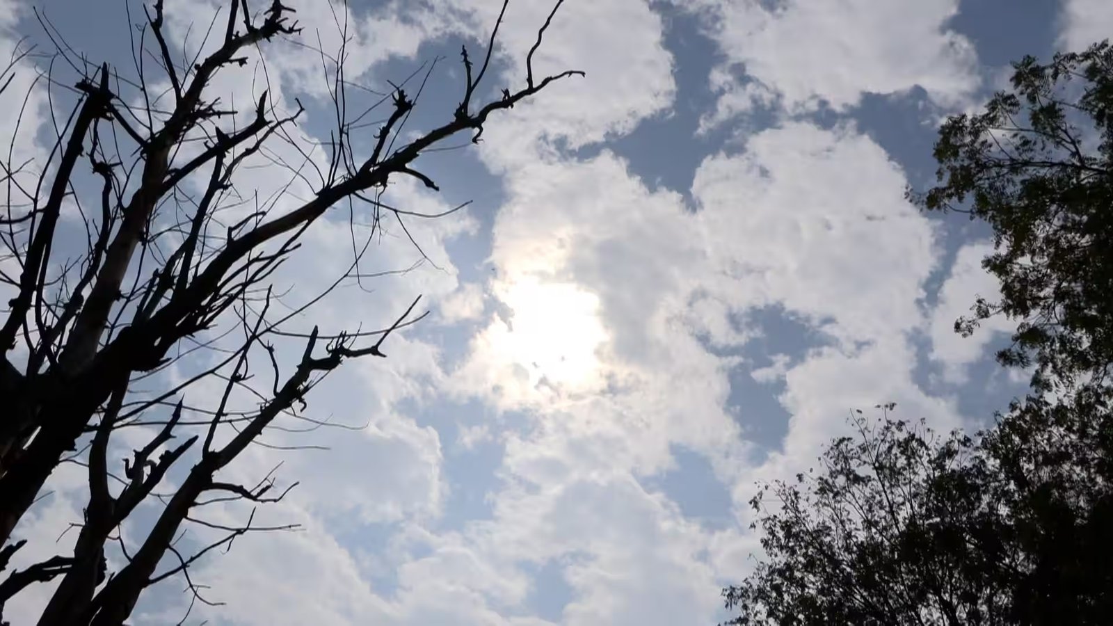 રાજકોટ સહિત રાજયભરમાં આવતીકાલથી આકાશમાંથી વરસશે બળબળતી આફત