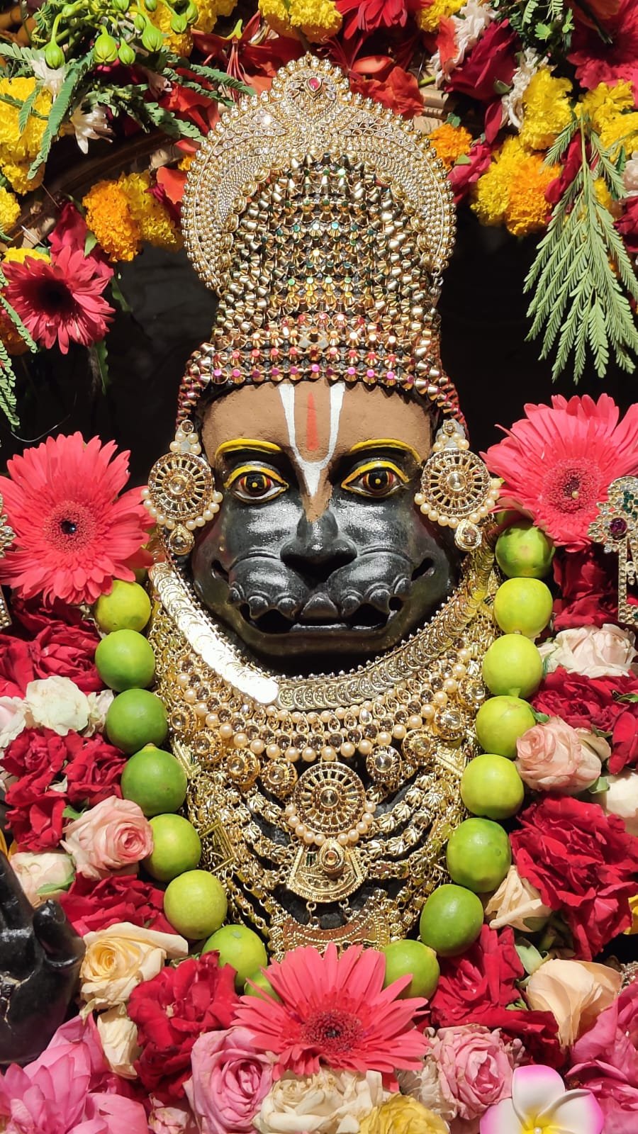 આવતીકાલે ઇસ્કોન મંદિર ખાતે નરસિંહ ચતુર્દશી મહોત્સવની ઉજવણી કરાશે