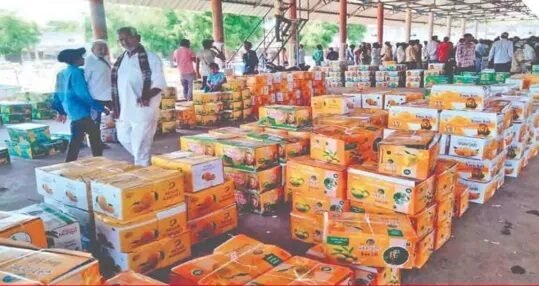 કેસર કેરીની આવકમાં વધારો થતા ૧૦ કિલોના ભાવમાં ૧૦ ટકાનો ઘટાડો