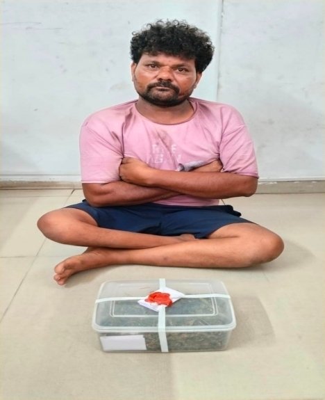 ગાંધીગ્રામમાં 320.66 ગ્રામ ગાંજાના જથ્થા સાથે શખ્સ ઝડપાયો