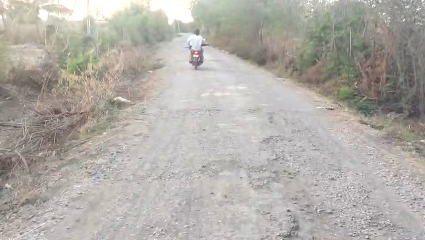 જાફરાબાદના વડલી ગામનો રોડ ૧૦ વર્ષથી બિસ્માર: સ્થાનિક પ્રજામાં ઉગ્ર આક્રોશ