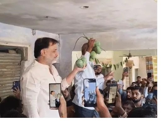 તાલાલા યાર્ડમાં ગીરના અમૃત ફળ કેસર કેરીની વિધિવત આવક શરૂ