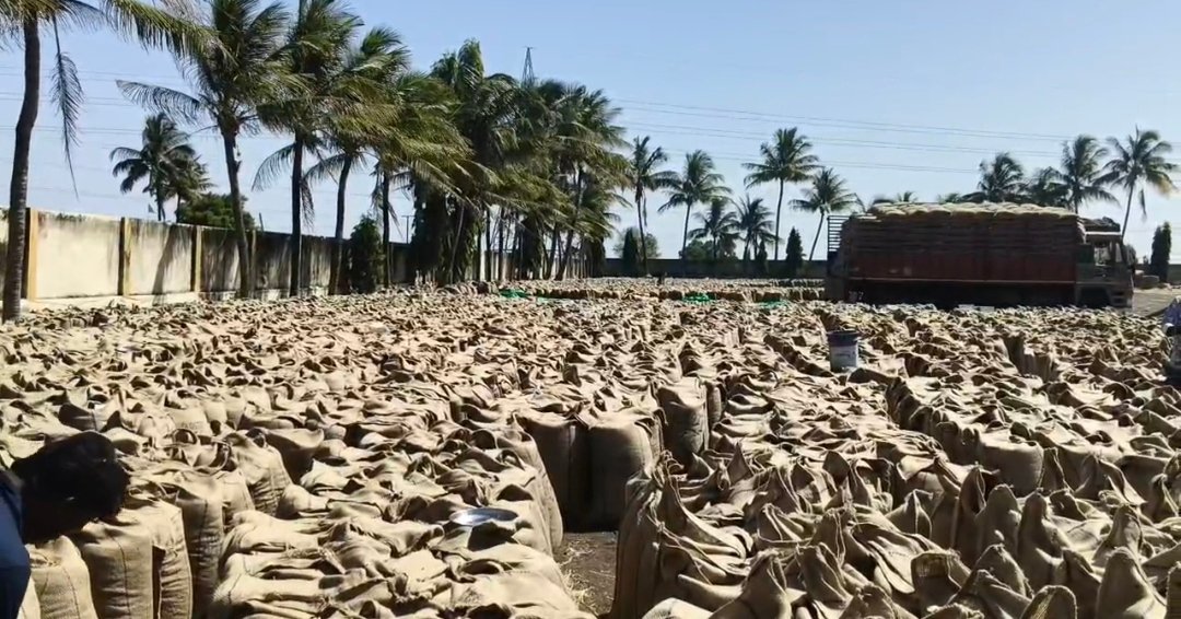 ધોરાજી પંથકના ખેડૂતોમાં વીજળી, પાણી, ટેકાના ભાવ સહિતના પ્રશ્ને ભારે નારાજગી