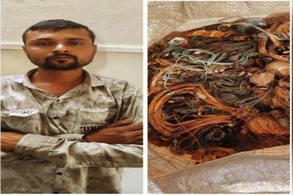 પવનચક્કીમાંથી કોપર વાયર ચોરી કરતી ગેંગનો પર્દાફાસ : મુખ્ય સૂત્રધાર ઝડપાયો