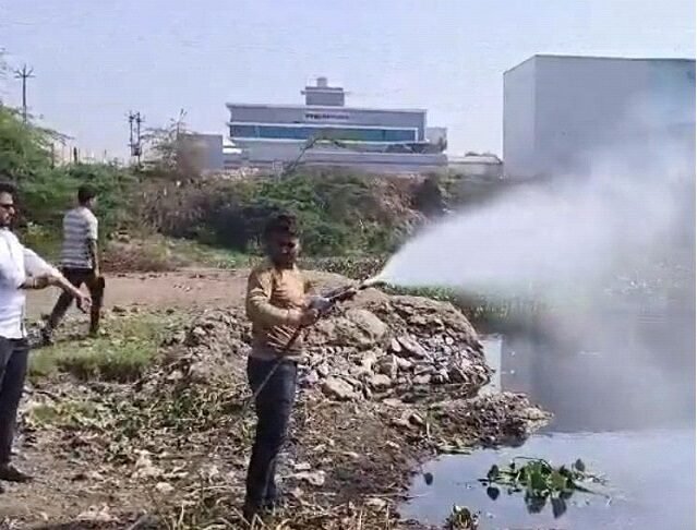 આજી નદીમાં જળકુંભીનું સામ્રાજય, મનપા એકશનમાં