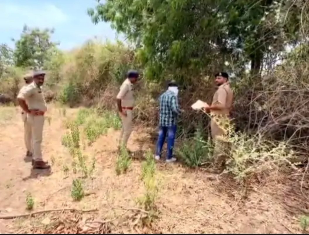ગીર જસાધારમાં વન વિભાગની કાર્યવાહી, કોર્ટના આદેશથી કરોડોની જમીનનો કબજો પરત મેળવાયો
