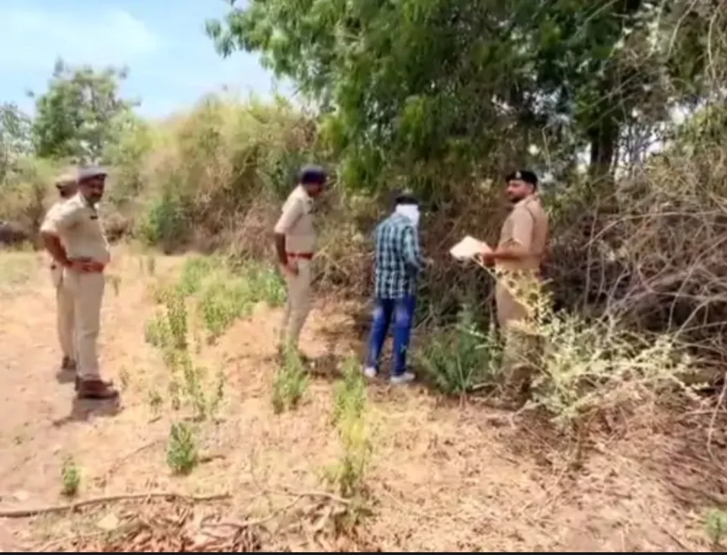 ગીર જસાધારમાં વન વિભાગની કાર્યવાહી, કોર્ટના આદેશથી કરોડોની જમીનનો કબજો પરત મેળવાયો
