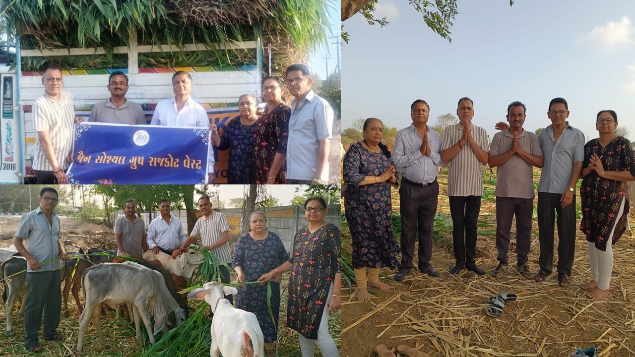 જૈન સોશયલ ગ્રુપ રાજકોટ વેસ્ટ દ્વારા કચ્છથી આવેલી ગૌમાતાઓને  ઘાસચારો અર્પણ કરાયો