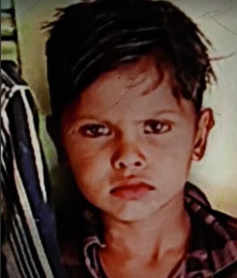 વડિયામાં રખડતા શ્વાને ઘર આંગણે રમતા બાળકને ફાડી ખાતા અરેરાટી