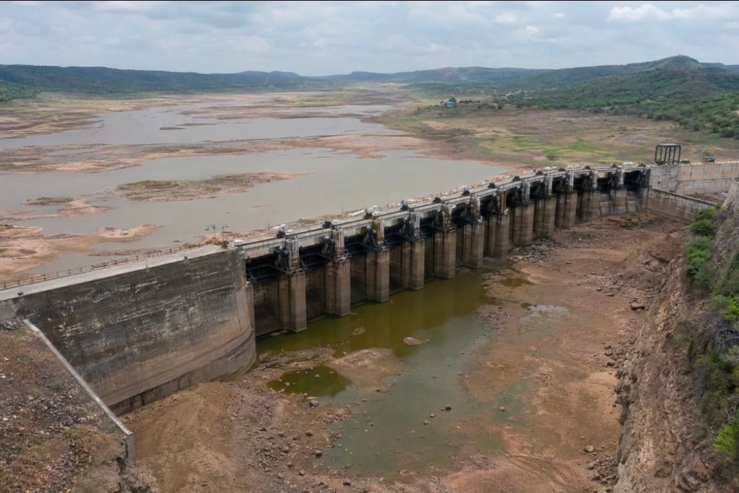 જૂન કોરો, ડેમો કોરા
