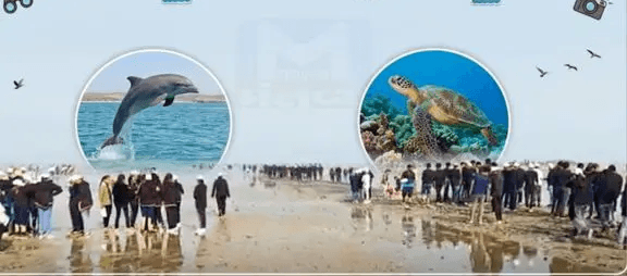 દરિયાઇ પ્રવાસન સ્થળોના વિકાસથી ગુજરાતના અર્થતંત્રને વેગ મળ્યો