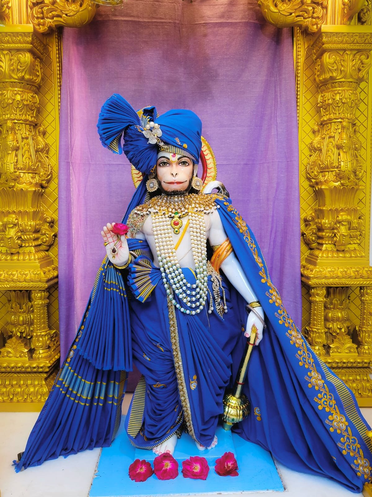 નીલાંબર વૈભવે ઝળહળતા શ્રી સંકલ્પસિદ્ધ હનુમાનજી મહારાજ