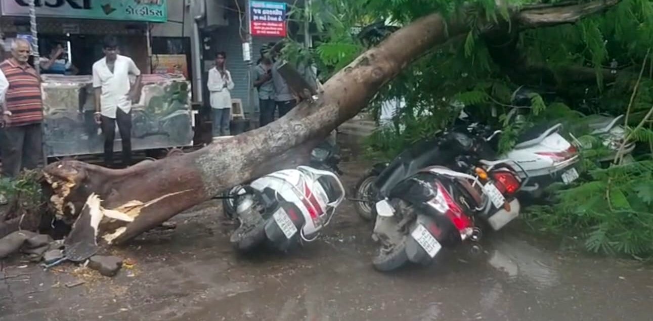 રાજકોટ અષાઢી મહિનાના પ્રારંભે મેઘરાજાના અમી છાંટણા, વૃક્ષ પડતા ત્રણ વાહન દટાયા