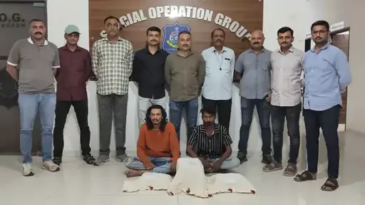 નશાના કારોબારમાં સરકારી કચેરીઓનો પણ ઉપયોગ, પોસ્ટમાં મંગાવેલ ગાંજાનો જથ્થો ઝડપાયો